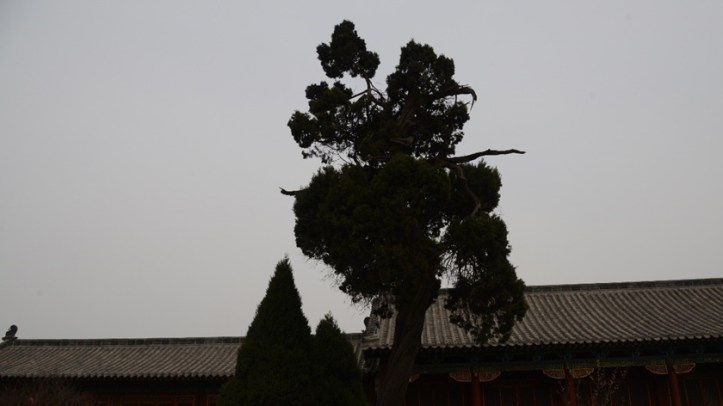 eight-diagrams-pyress-840-x-472-data